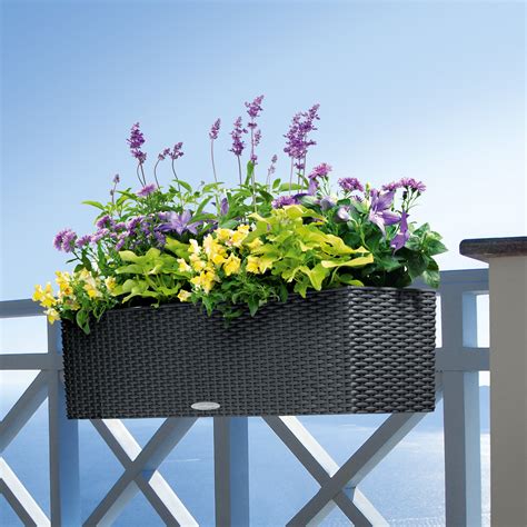 outdoor garden pots for balcony